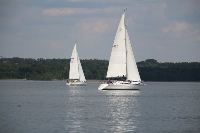 img_2754.jpg